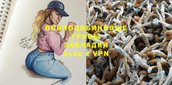 ГАЛЛЮЦИНОГЕННЫЕ ГРИБЫ Богданович