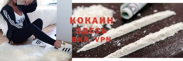 ГАЛЛЮЦИНОГЕННЫЕ ГРИБЫ Богданович