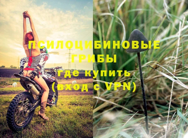 тгк Богородицк