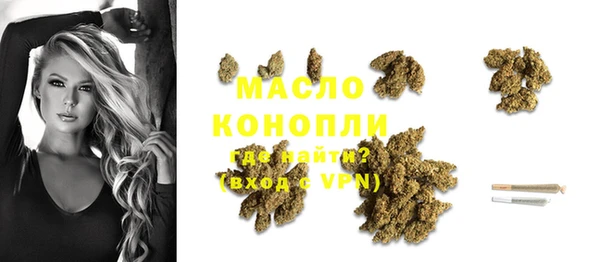 тгк Богородицк