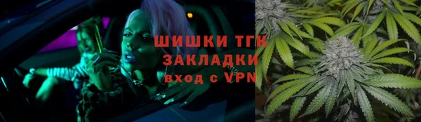 тгк Богородицк