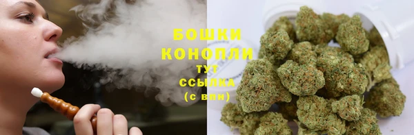 ГАЛЛЮЦИНОГЕННЫЕ ГРИБЫ Богданович