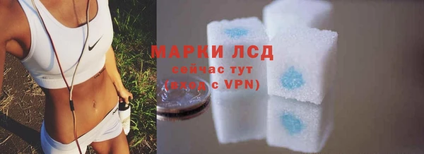 гашик Богородск
