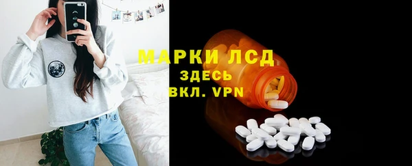ГАЛЛЮЦИНОГЕННЫЕ ГРИБЫ Богданович