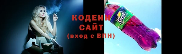 ГАЛЛЮЦИНОГЕННЫЕ ГРИБЫ Богданович