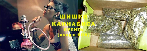 ГАЛЛЮЦИНОГЕННЫЕ ГРИБЫ Богданович