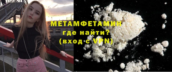 ГАЛЛЮЦИНОГЕННЫЕ ГРИБЫ Богданович