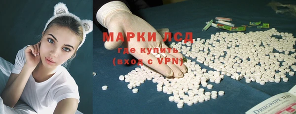 ГАЛЛЮЦИНОГЕННЫЕ ГРИБЫ Богданович