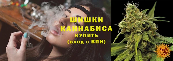 гашик Богородск