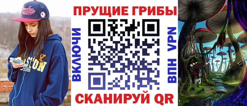 Галлюциногенные грибы Psilocybine cubensis это состав Сланцы